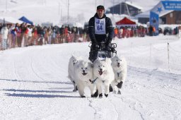 Lenk 2013